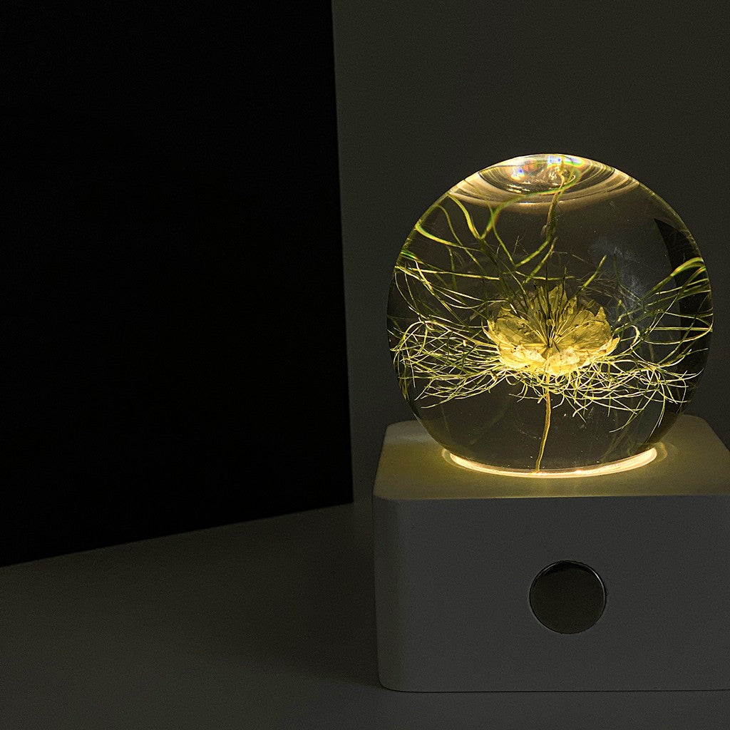 Espécimen de girasol de diente de león, decoración de escritorio con luz nocturna pequeña de 8cm