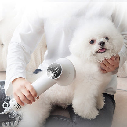 Sèche-cheveux intelligent pour animaux de compagnie, pour chien Golden Retriever, chat, toilettage, coiffure, coup et peigne, silencieux, sans danger, fournitures de nettoyage pour animaux de compagnie, produits pour animaux de compagnie