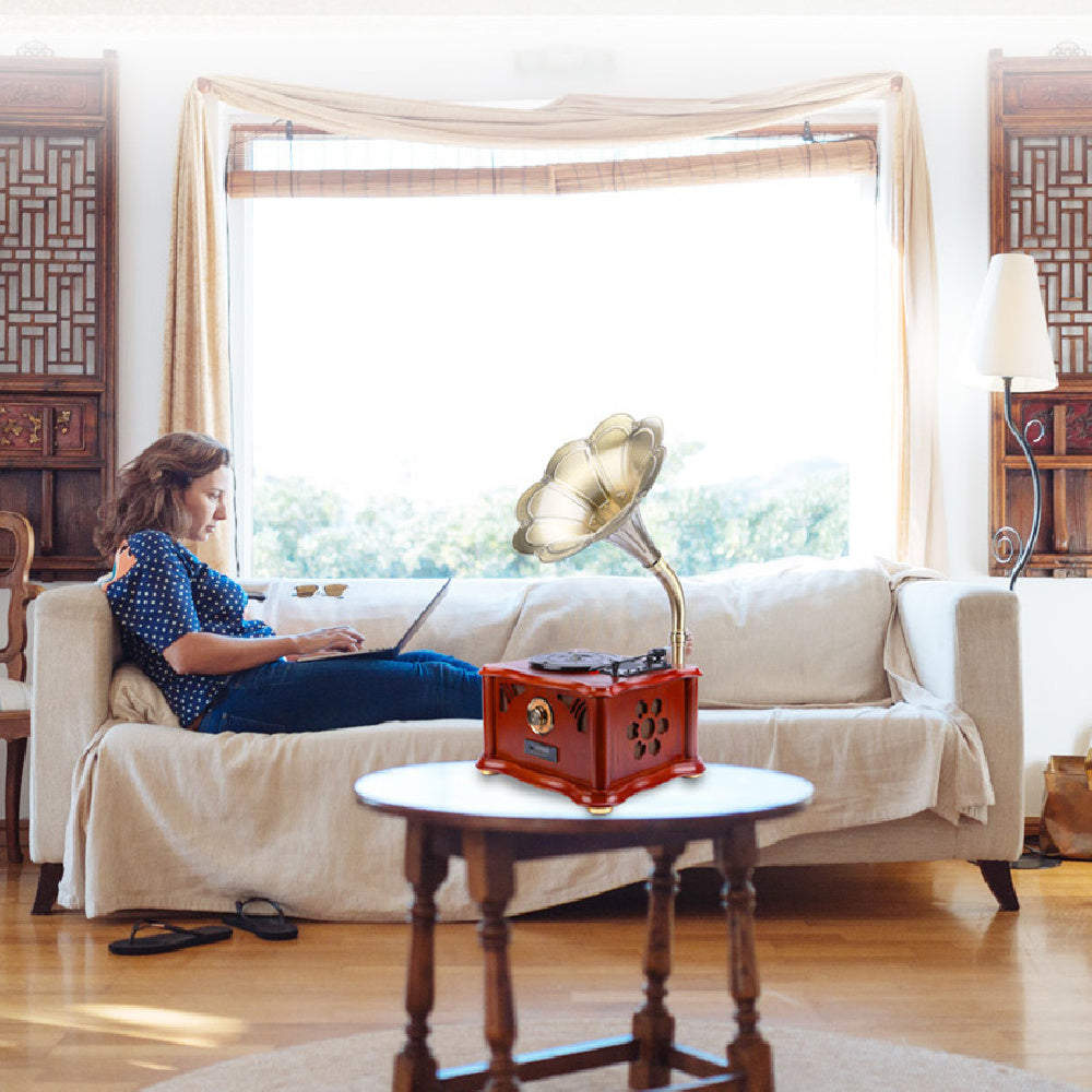 Living Room Vinyl Record Player