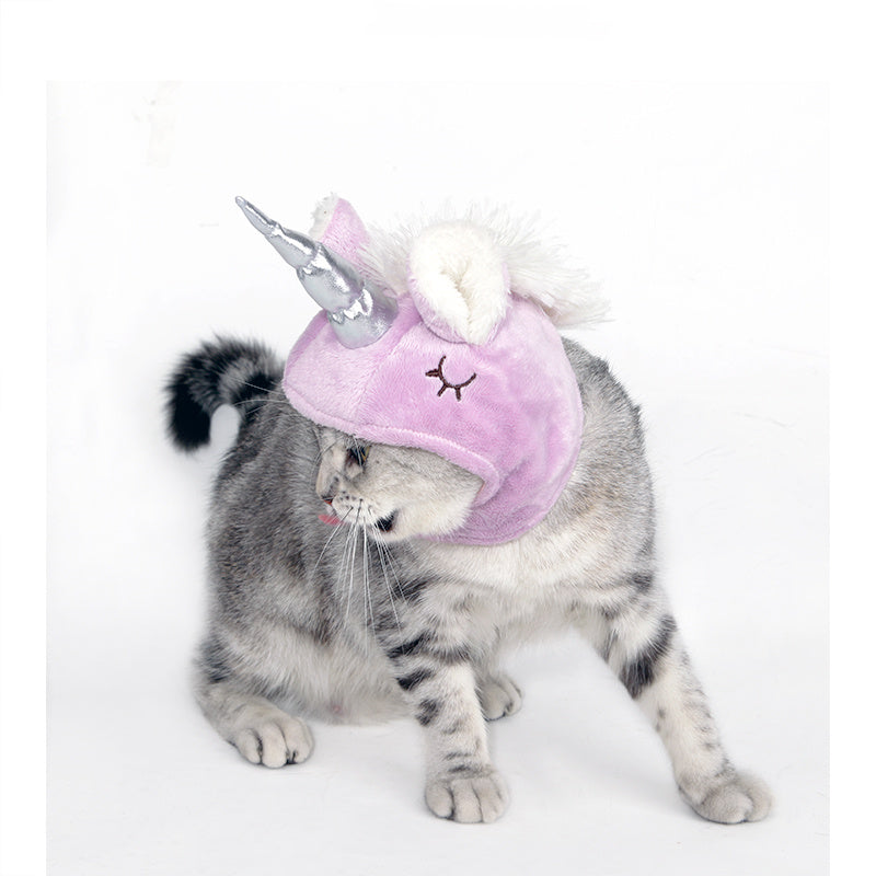 Chapeau pour animaux de compagnieChapeau pour chat universel pour Halloween