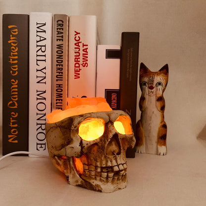 Skull Pakiatan Himalayan Crystal Salt Lamp USB Dimmable Night Light