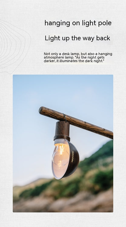 Outdoor Camping Tent Hanging Lamp Charging Lamp Ambience Light