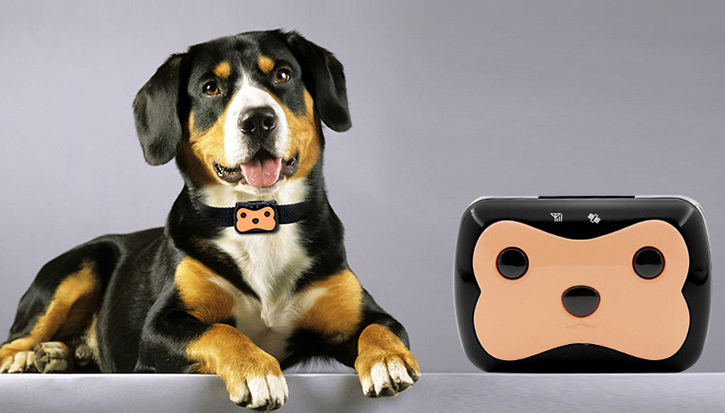 Localizador de mascotas Smart HP01 Mini mascota transfronteriza Localizador GPS ajustable de longitud a medida