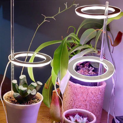 Luz LED de cultivo de espectro completo, anillo de Ángel, lámpara de cultivo Phytolamp USB para plantas, lámpara de 5V, plántulas de plantas de invernadero de flores de interior