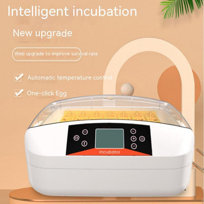 Smart Household Chicken Breeding Egg Incubator