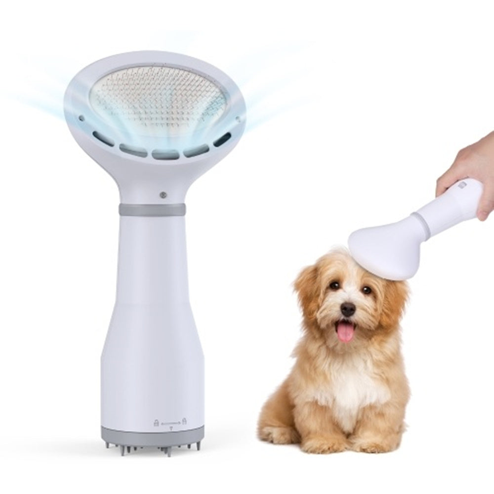 Dadypet Sèche-cheveux pour chien et animal domestique, brosse de toilettage