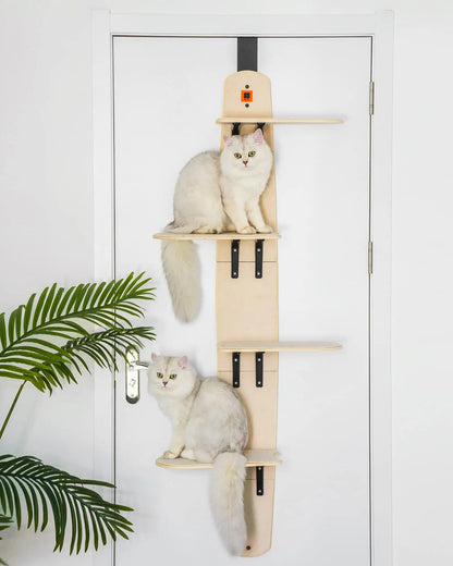 Mewoofun Étagères grimpantes polyvalentes à 4 niveaux pour chat Arbre à chat vertical monté sur porte