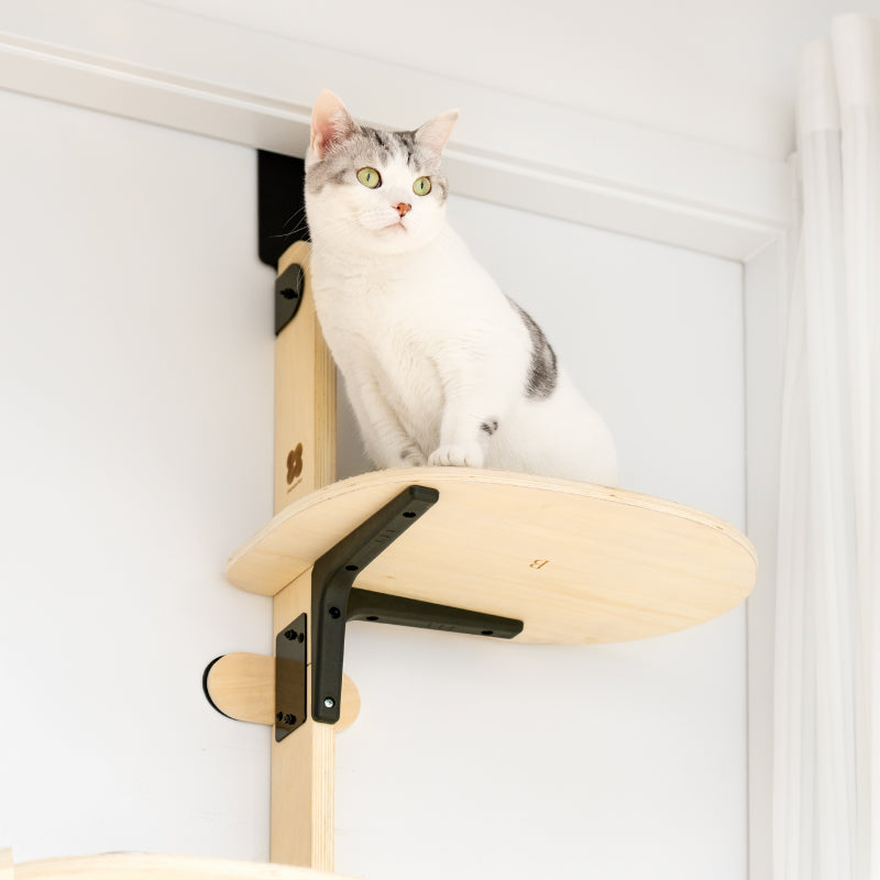 Mewoofun mise à niveau du lit suspendu à la porte, confortable, écologique, bois de pin, Stable, Durable, facile à assembler, planche à gratter, cadre d'escalade pour animaux de compagnie