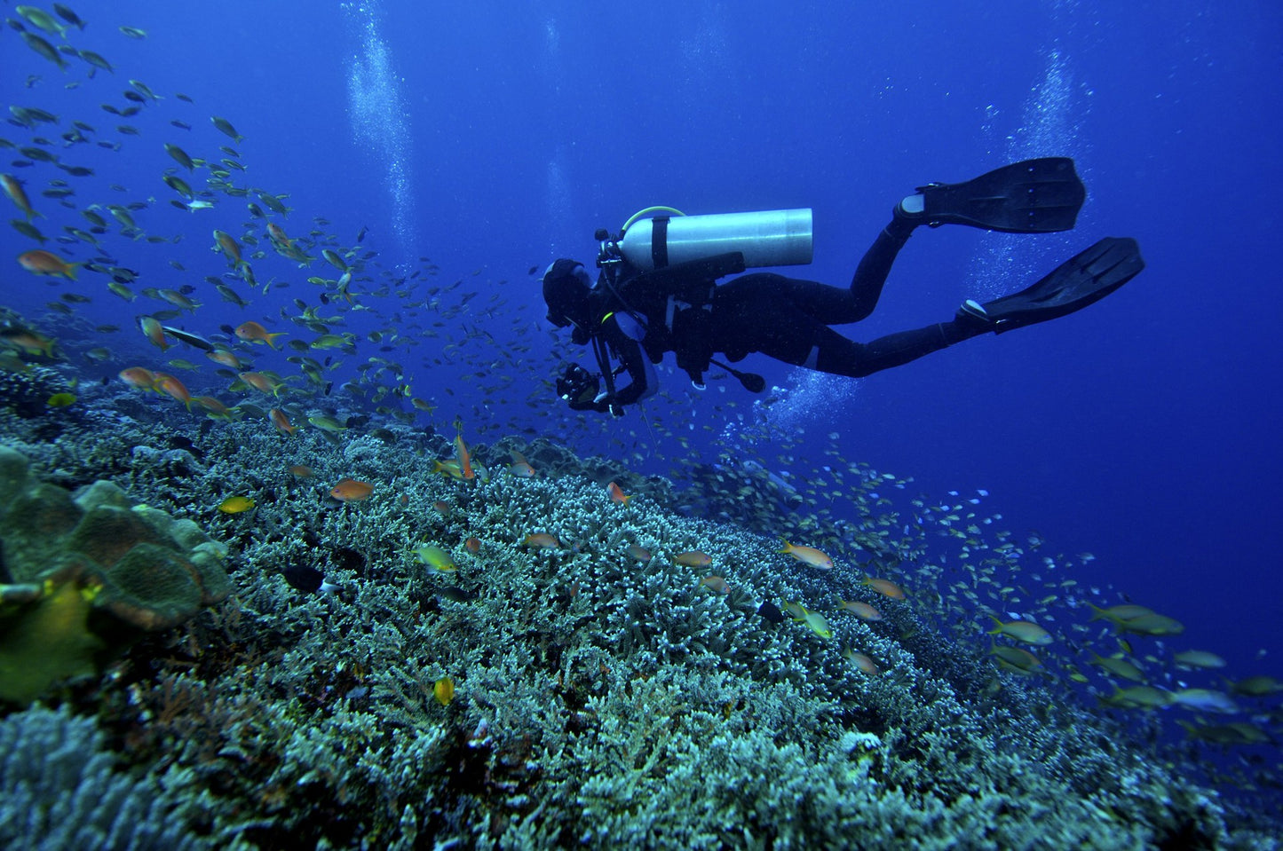 Linterna de buceo profesional con carga LED resistente al agua