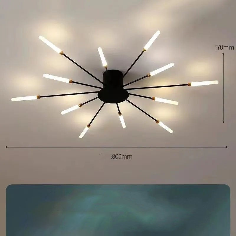 Ceiling Room Lights With Special Iron Decoration