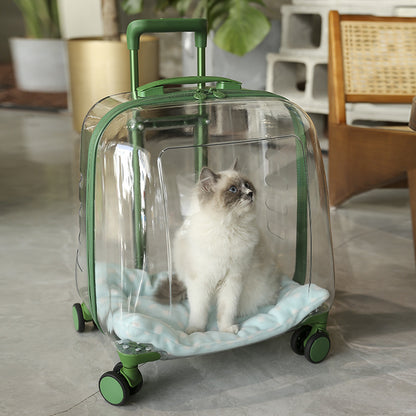 Sac pour chat de grande capacité et sac pour animaux de compagnie au printemps et en été