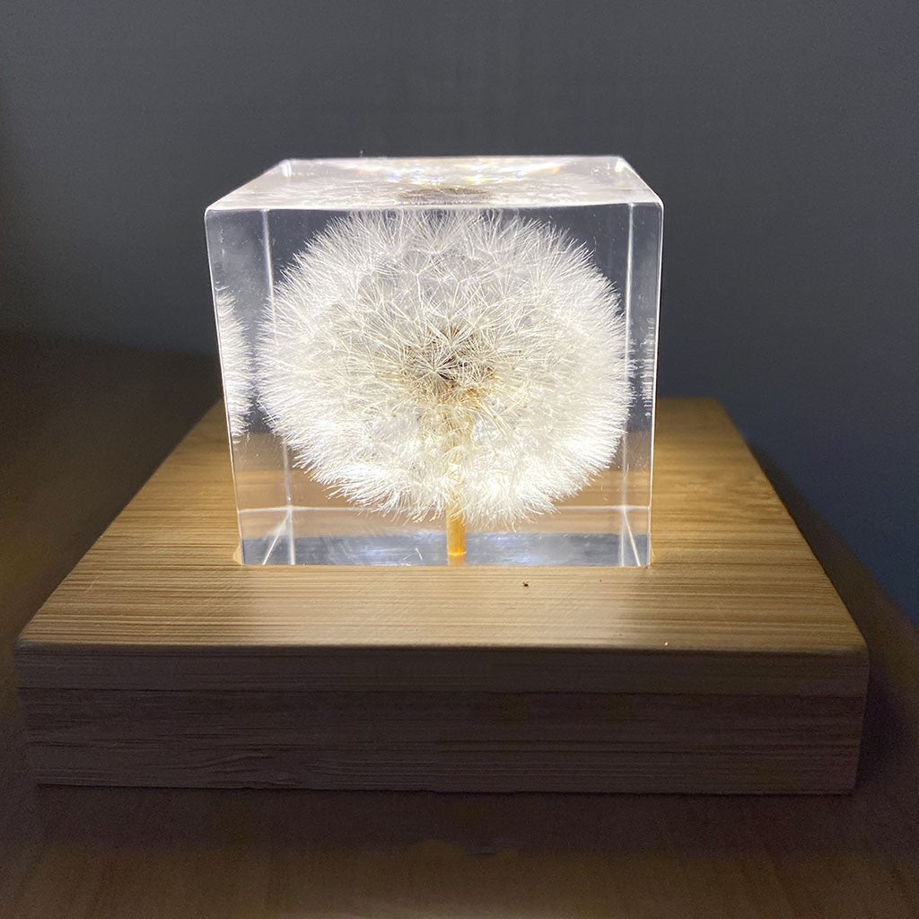 Cubo de muestra de diente de león, decoración de mesa de resina creativa