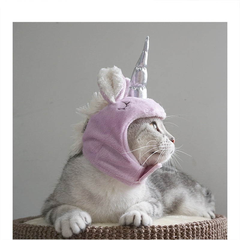 Chapeau pour animaux de compagnieChapeau pour chat universel pour Halloween