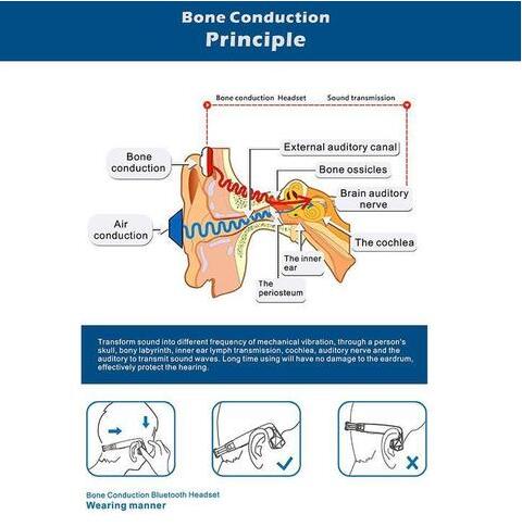 Auriculares inalámbricos de conducción ósea