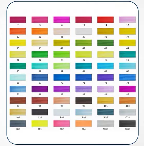 Stylo de peinture d'animation de couleur huileuse à l'alcool à Double tête pour les étudiants en art professionnels