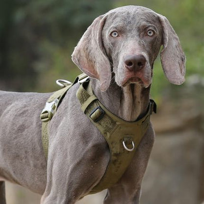 Correa para el pecho con cuerda de tracción para perros que caminan para mascotas grandes