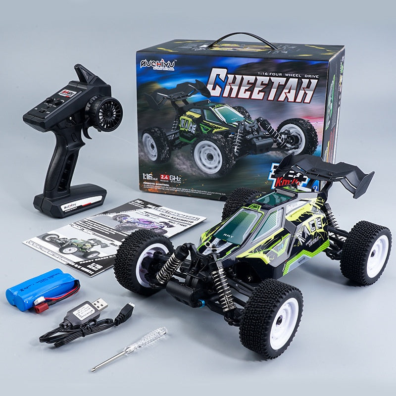 Remote Control Brushless High-speed Off-road Vehicle Model