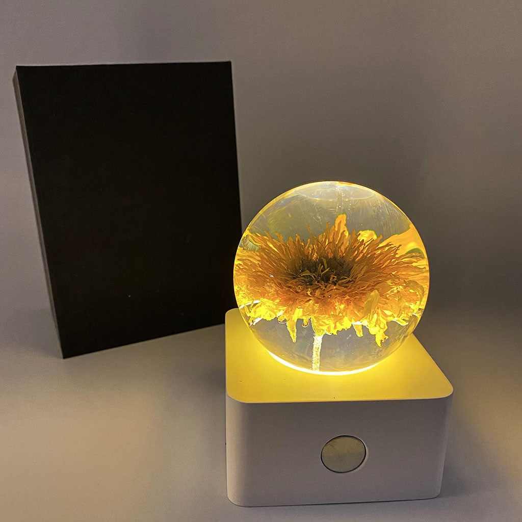 Pissenlit tournesol spécimen 8 cm petite veilleuse décoration de bureau