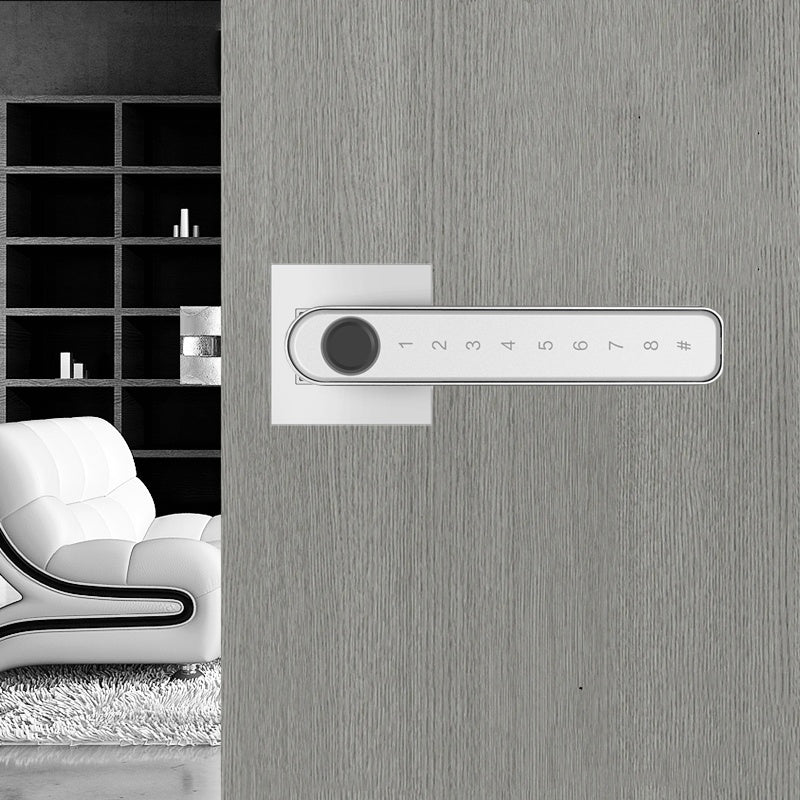 Indoor Fingerprint Lock Home Wooden Door Room