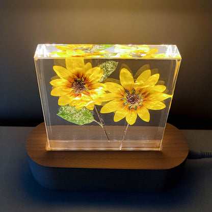 Preserved Flower Decorative Resin Plant Specimen Small Night Lamp