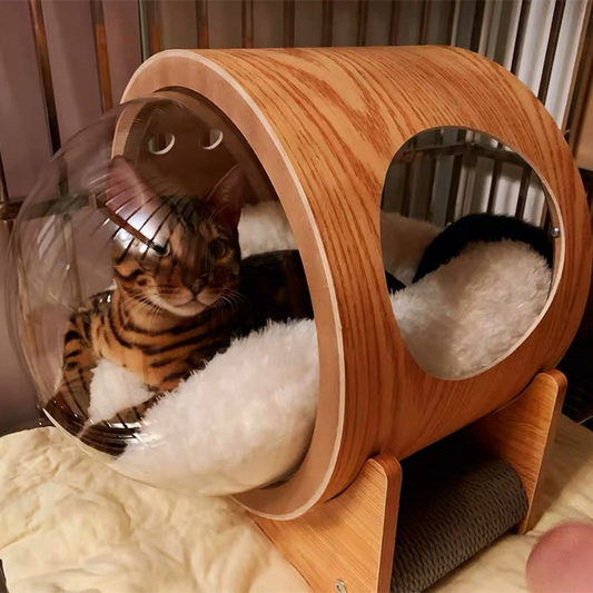 Home Fashion Transparent Creative Cat Nest