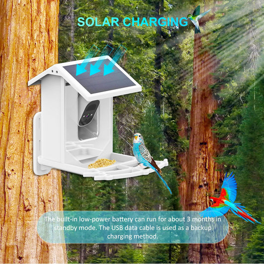 Low Power Consumption Solar Smart Feeder Camera