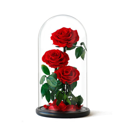 Cadeau de Noël pour la Saint-Valentin avec couvercle en verre rose