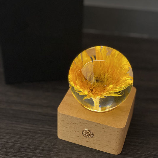 Lámpara de noche con muestra de flor y base de madera