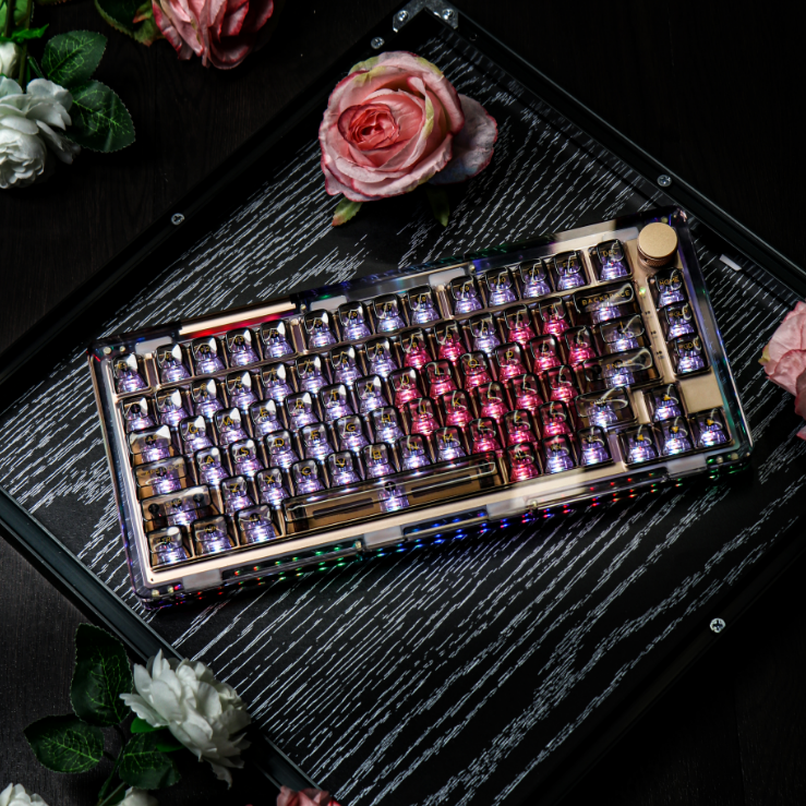 Transparent Mechanical Keyboard Tri-mode Wireless Bluetooth