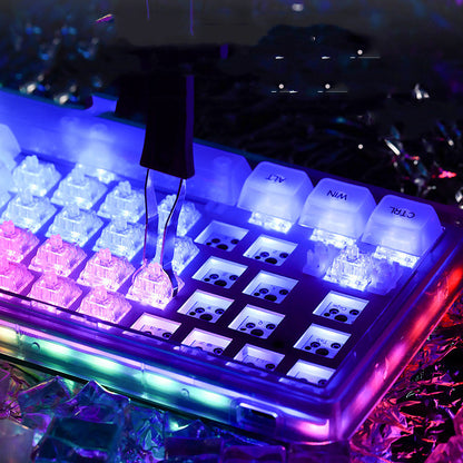 Clavier mécanique sans fil à trois modes, axe méduse Transparent, échangeable à chaud