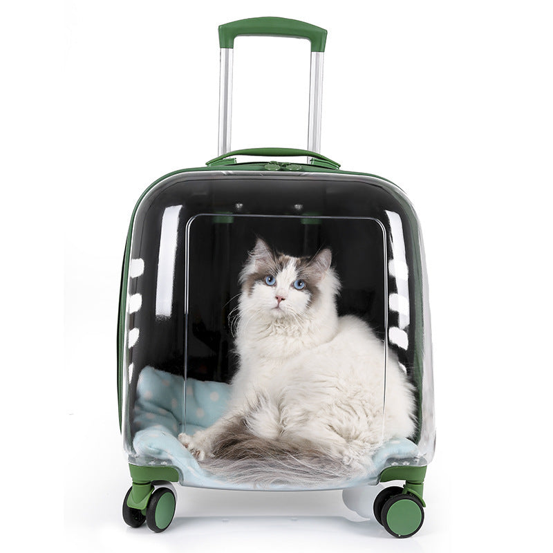 Sac pour chat de grande capacité et sac pour animaux de compagnie au printemps et en été