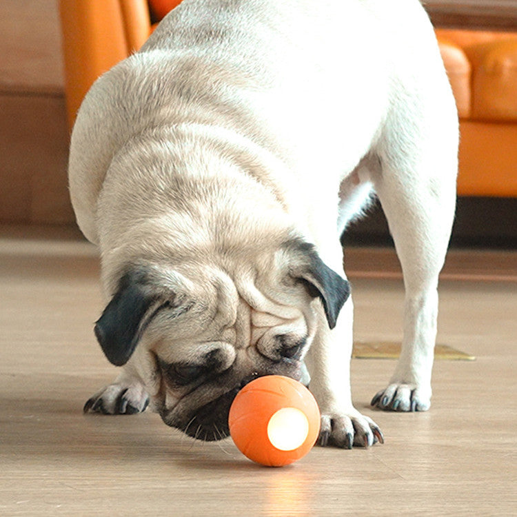 Cat Toys To Get High And Relieve Boredom Teasing Cat Stick Smart Rolling Ball