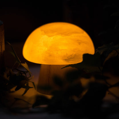 Lampe de nuit créative en minerai de champignon