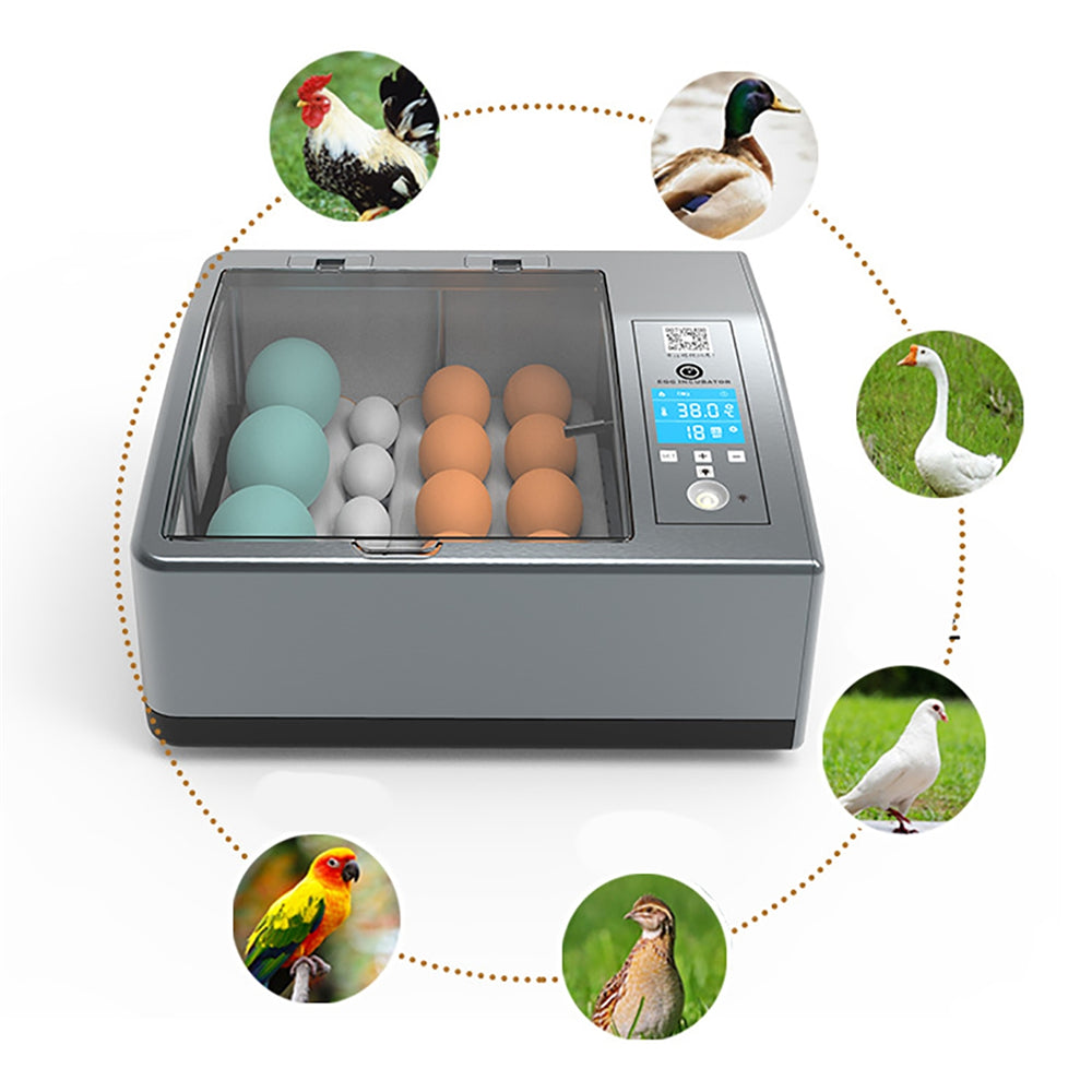 Inicio Caja de incubación inteligente completamente automática