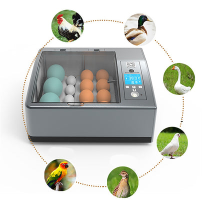 Inicio Caja de incubación inteligente completamente automática