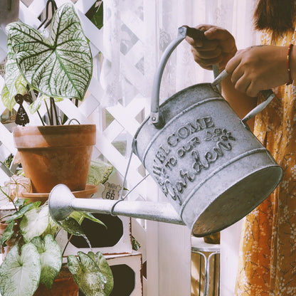 Regadera de hierro forjado, florero de jardín antiguo vintage