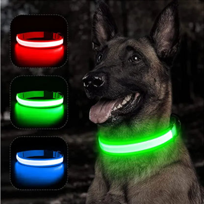 Collier lumineux LED pour chien, réglable, clignotant, rechargeable, lumineux, Anti-perte, harnais lumineux pour petits chiens, produits pour animaux de compagnie