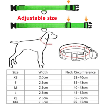 Collier lumineux LED pour chien, réglable, clignotant, rechargeable, lumineux, Anti-perte, harnais lumineux pour petits chiens, produits pour animaux de compagnie