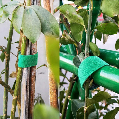 3 rouleaux de ficelle de jardin verte, attaches pour plantes, Bandage en Nylon, boucle de crochet de jardin, Support d'enveloppe de canne en bambou, accessoires de jardin