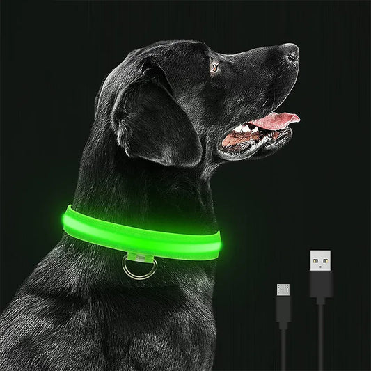 Collier lumineux LED pour chien, Rechargeable, étanche, lumineux, réglable, veilleuse, collier de sécurité pour chien