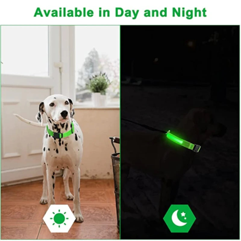 Collier lumineux LED pour chien, réglable, clignotant, rechargeable, lumineux, Anti-perte, harnais lumineux pour petits chiens, produits pour animaux de compagnie