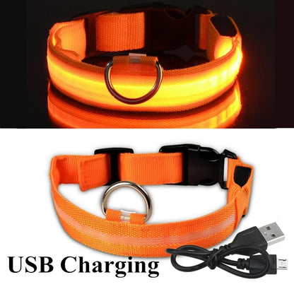 Collier lumineux LED pour chien, Rechargeable, étanche, lumineux, réglable, veilleuse, collier de sécurité pour chien