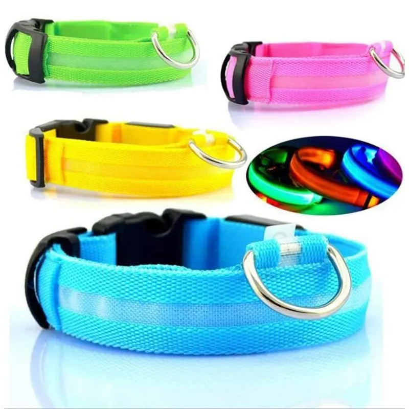 Collier lumineux LED pour chien, Rechargeable, étanche, lumineux, réglable, veilleuse, collier de sécurité pour chien