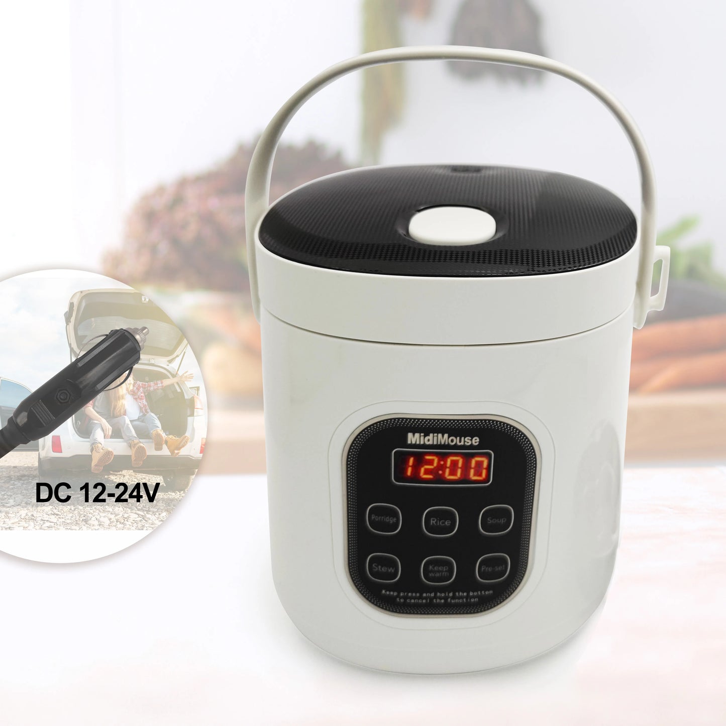 Rice Cooker Used in Car and Home 12v to 220v or Truck and Home 24v to 220V