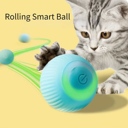 Jouets intelligents pour chat, boule roulante automatique, jouets électriques interactifs pour chats, entraînement, jouets pour chaton auto-mobiles pour jouer en intérieur