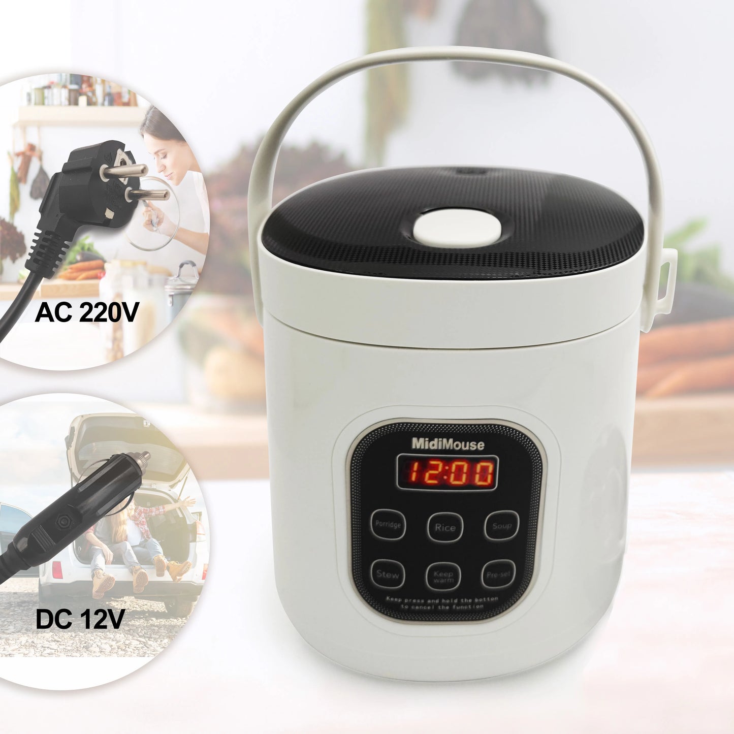 Rice Cooker Used in Car and Home 12v to 220v or Truck and Home 24v to 220V