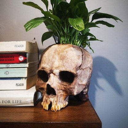 New Halloween Skull Resin Planter Ornament