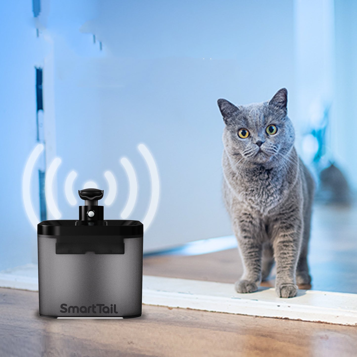 Distributeur d'eau intelligent sans fil pour chat