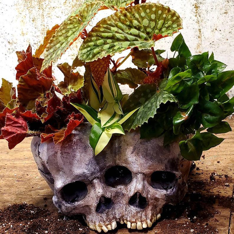 New Halloween Skull Resin Planter Ornament