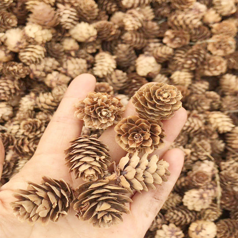 Christmas Decorations Creative Ornaments Of Pinecones